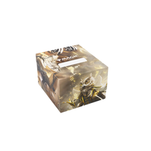 Gamegenic: Secrets of Strixhaven Soft Crate SideLoading 100+ XL