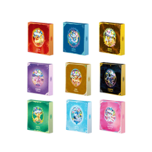 Chinese Pokemon: Terastal Grand Gathering Binder Collection
